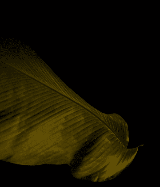 bg-image
